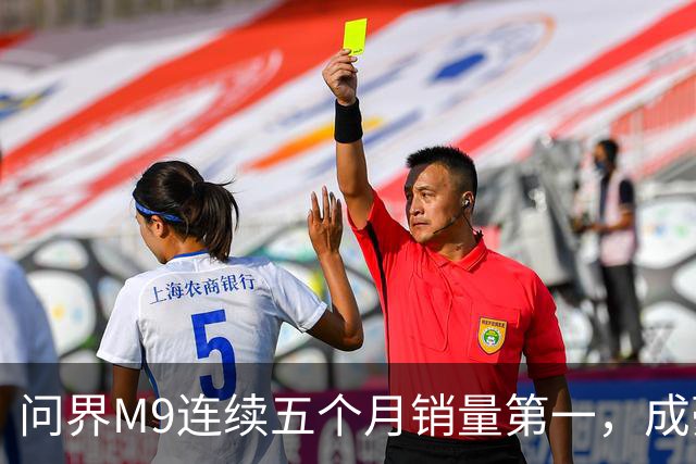 问界M9连续五个月销量第一，成豪华SUV市场的黑马
